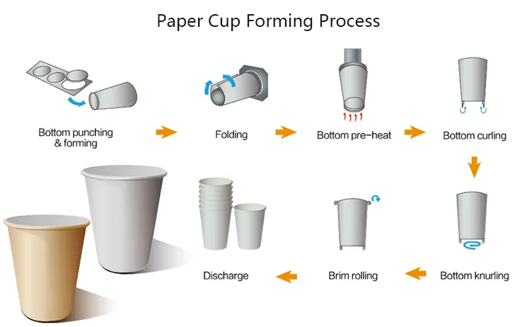 Understanding the Disposable Cup Paper Machine