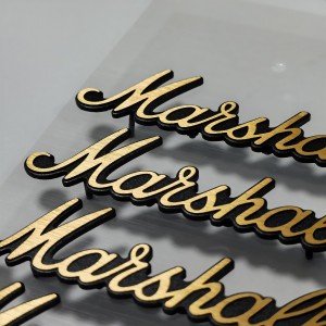 Custom Gold Brushed Logo Shaped Aluminum Label Modern Style with Black Adhesive Backing Metal Nameplate for Foot Column Assembly