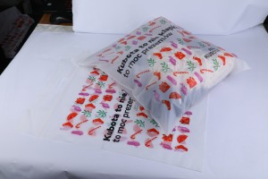 Sacchetti di zipper ghiacciati compostabili diretti in fabbrica imballaggi persunalizati sacchetti di vestiti in plastica richiudibili cù manicu