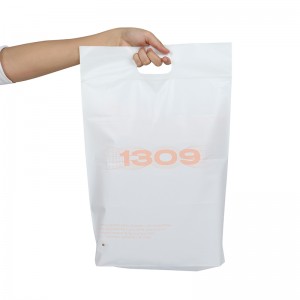 Custom Compostable Poly Ziplock Bag Eco Friendly biodegradable Clothes Bags with handle from China manfacturer