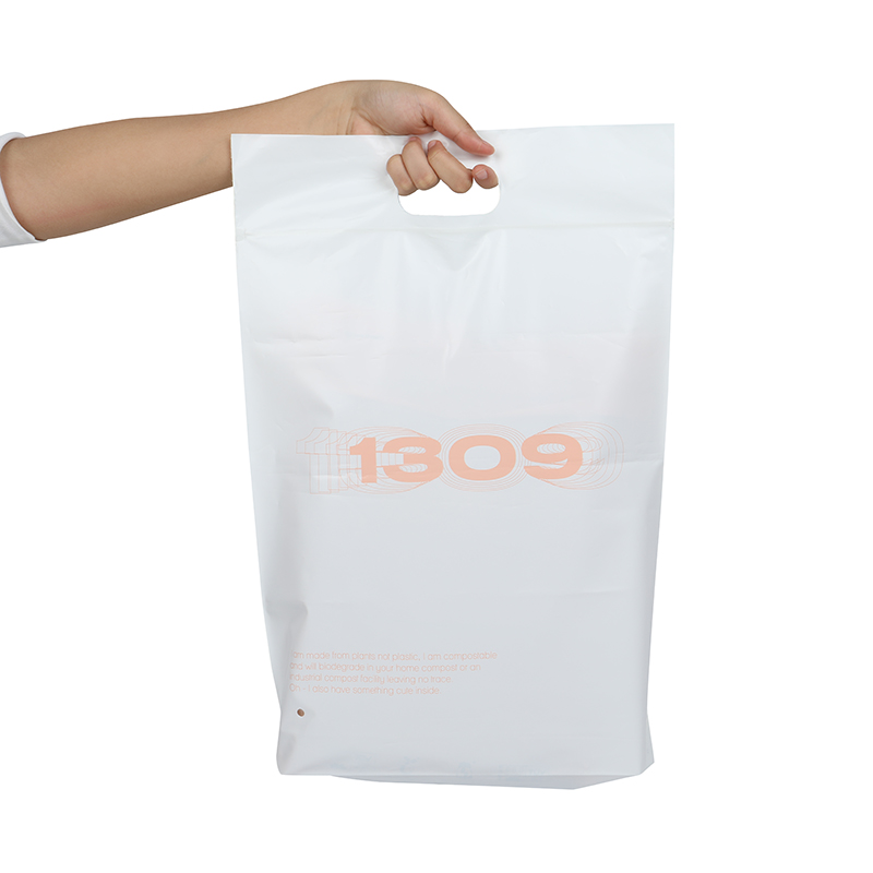 China Lowest Price for China Large Ziplock Bag Manufacturer and Supplier