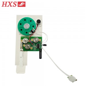 Low Price Recordable Greeting Card Sound Module Chip
