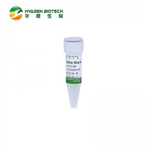 I-Ultra Nuclease GMP-grade HC2016A