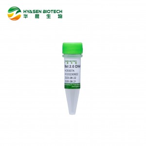 Bst 2.0 DNA polimerasi (senza glicerolo, alta densità) HC5007A