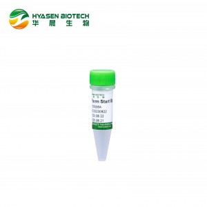 Warm Start Bst 2.0 DNA polymeráza (bez glycerolu) HC5006A