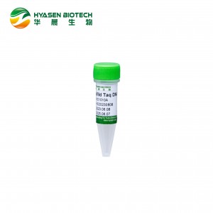 Wild Taq DNA polymeráza HC1010A