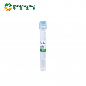Anticorpo Taq DNA HC1011B