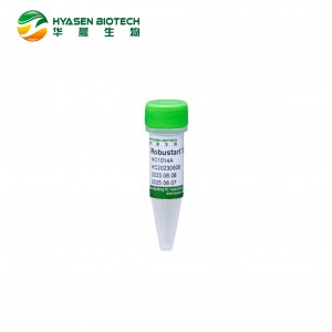 Robustart Taq DNA polymeráza HC1014A