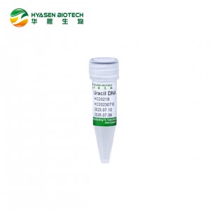 Uracile ADN Glycosylase HC2021B