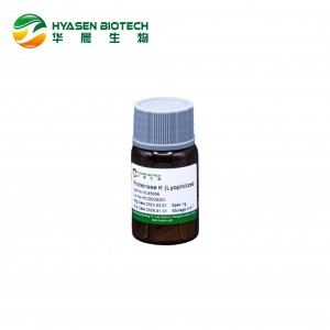Proteinase K (Lyophilized powder)