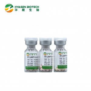 RT-LAMP Colormetric (mpira wa Lyophilized) HCB5206A