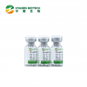 RT-LAMP Fluaraiseacha (liathróid lyophilized) HCB5207A