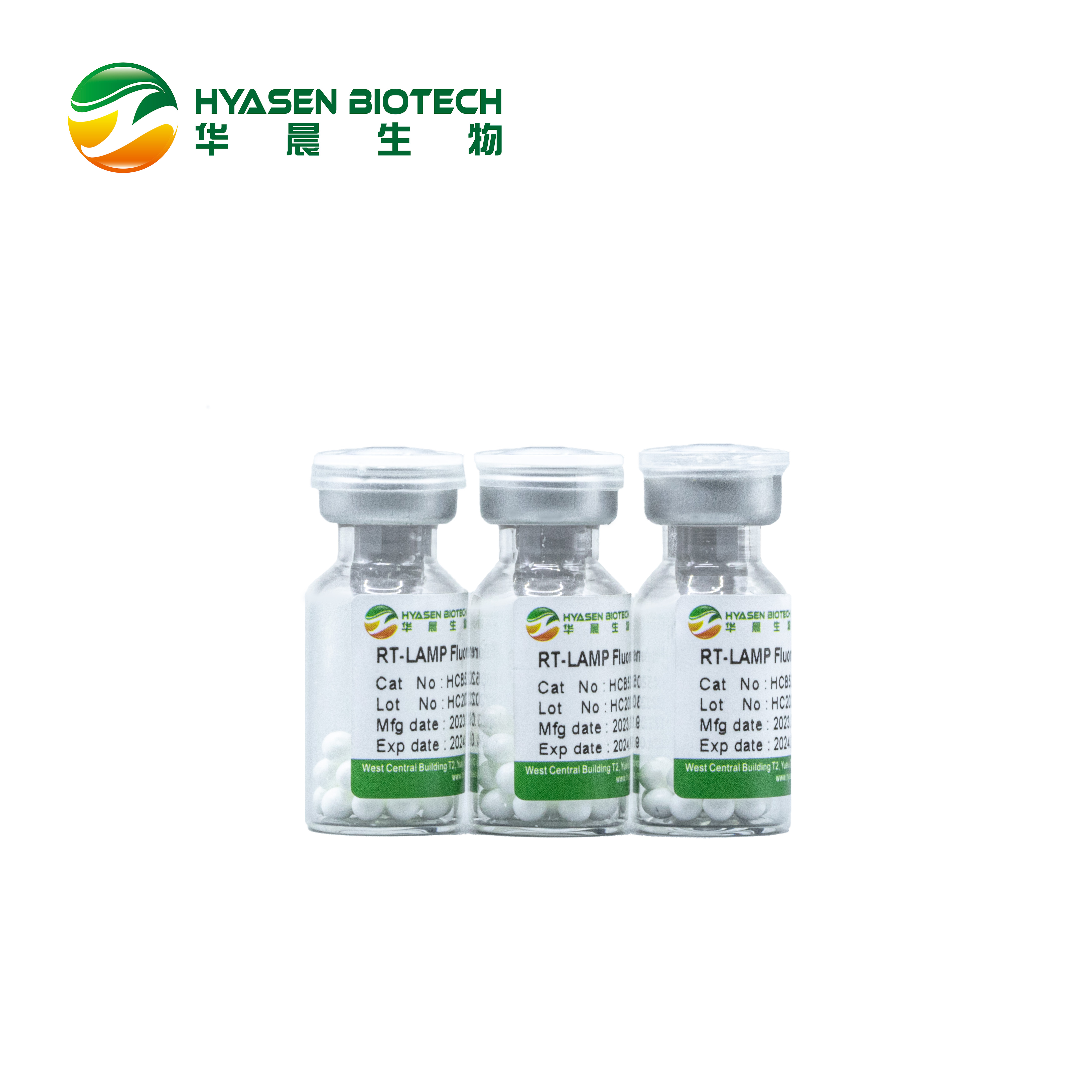 RT-LAMP Fluoresen (Bola Lyophilized) Gambar Unggulan HCB5207A