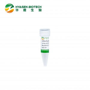 I-Ultra Nuclease HCP1013A