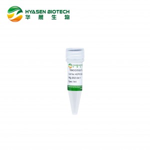 Vaccinia Virus Capping Enzyme HCP1018A