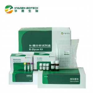 N-Glycan Kit  HCP0031A
