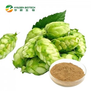 Hops Flower extract