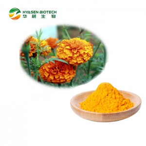 I-Marigold Flower Extract