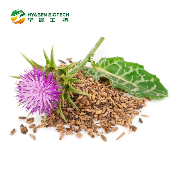 Milk Thistle Extract Featured Image