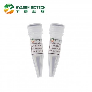 Uracil DNA Glycoylase (Bebas Gliserol)