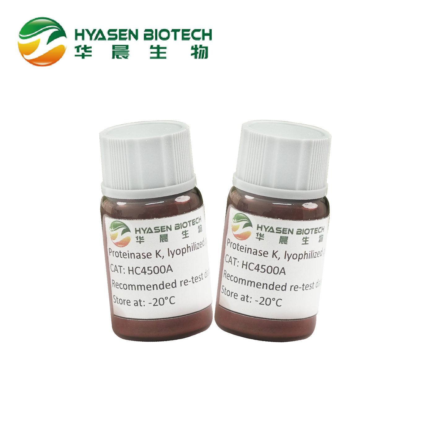 Proteinase K (lyophiléiert Pulver)
