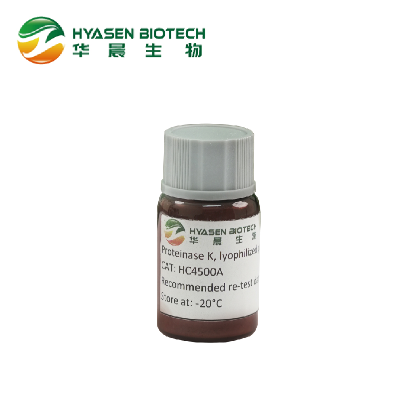 Proteinase K( Lyophilized powder)