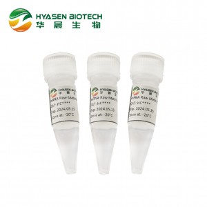 High Yield T7 RNA Poymerase-mRNA synthesis raw material