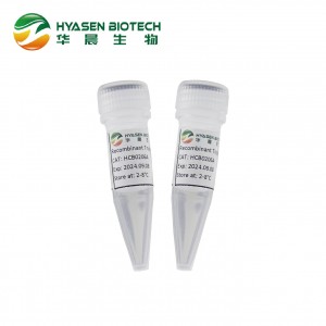 Recombinant Trypsin–mRNA synthesis raw material