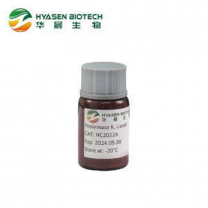 Proteinase K( Liquid)-High quality