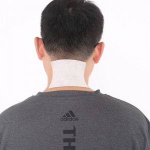 Traditional Chinese Medicine Pain Relief Patch