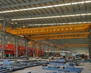 25 ton Double Girder European Type Bridge Crane for Machining Plant