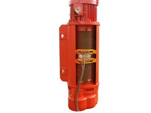 Professional design electric wire rope hoist for factory