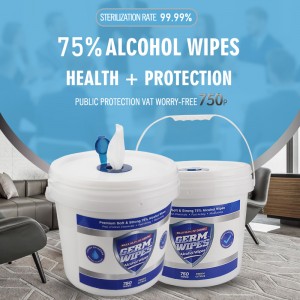 2019 Good Quality China Private Label CE Certificate Surface Hand Disinfectant 75% Alcohol Wipes