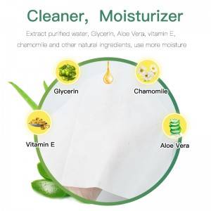 Cheapest Price China Special Nonwovens Hypoallergenic Travel Size Antimicrobial Soft and Gentle Sensitive Soft Disinfectant Wet Clean Pet Wipes