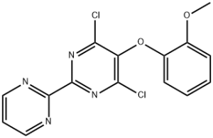 4,6-Dichloro-5-(2-methoxyphenoxy)-2,2′-bipyrimidine | CAS：150728-13-5