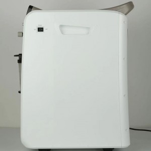 5L portable oxygen concentrator 10 liters medical oxigen concetrator 10l with anions nebulizer medical