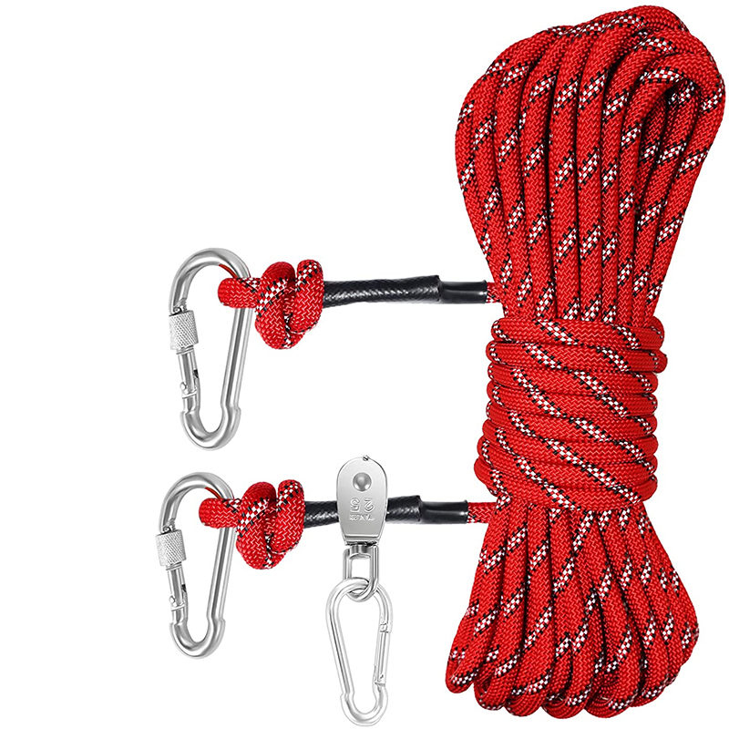 Dog Leash For Camping Featured Image