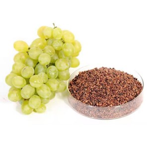 OPC 95% Pure Natural Grape Seed Extract