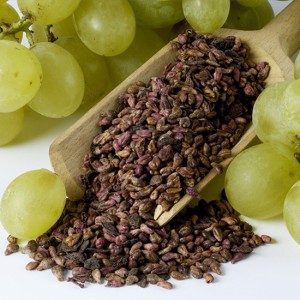 OPC 95% Pure Natural Grape Seed Extract