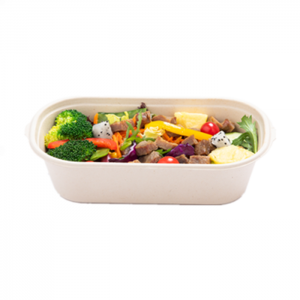 Hot Sales Travel Cutlery Microwave Available Biodegradable Tableware Bowl