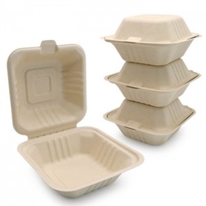 Factory Directly Sales Disposable Paper Food Container Non PFAS Tableware Clamshell