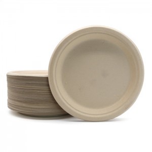Environmentally Friendly Food Container New Products Biodegradable Tableware Plate