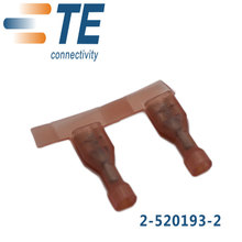 Connettore TE/AMP 2-520193-2