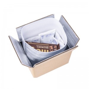 Disposable Thermal Insulated Box Liners Pouch Para sa Cold Chain Packaging