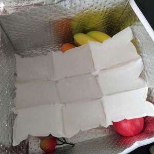 Dry Ice Pack 3 * 3 Cells For Cold Chain Transport