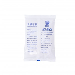Reusable Gel Ice Pack pro Food Shipping