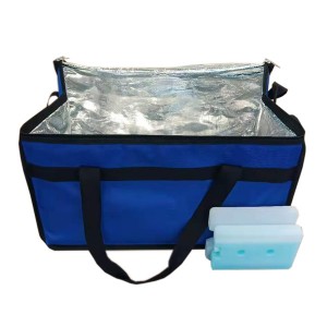 Bolsas térmicas térmicas para entrega con bloque de hielo gratuito: mantienen frías las vacunas y los medicamentos durante 48 horas