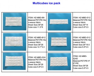 Soğutucular İçin Esnek Techice Kuru Buz Paketleri