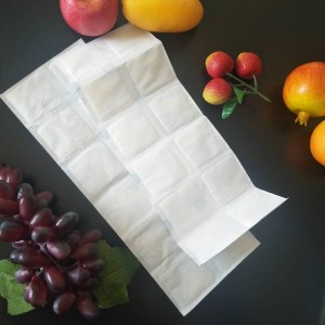 Paquetes flexibles de xeo seco Techice para refrigeradores