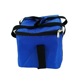 Beg Penebat Boleh Digunakan Semula Untuk Pengangkutan Makanan & Farmaseutikal